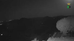 Webcams