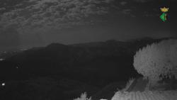 Webcams