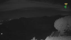 Webcams