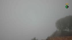Webcams