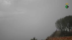 Webcams