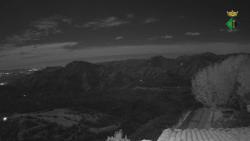 Webcams