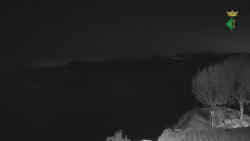 Webcams