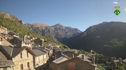Webcams