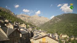 Webcams