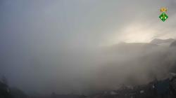 Webcams