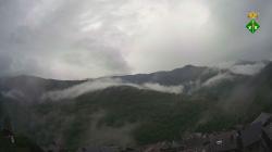 Webcams