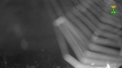 Webcams
