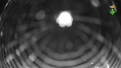 Webcams