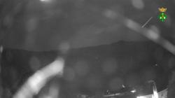 Webcams