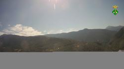 Webcams