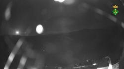 Webcams