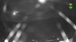 Webcams