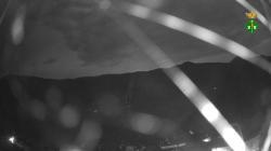 Webcams