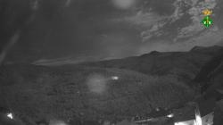 Webcams