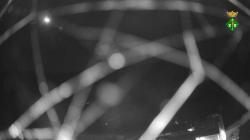 Webcams