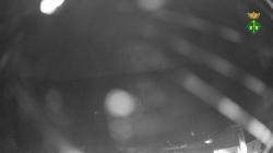 Webcams