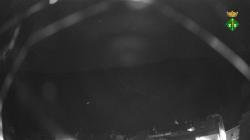Webcams