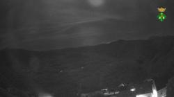 Webcams