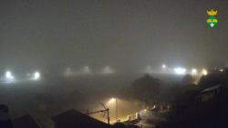 Webcams