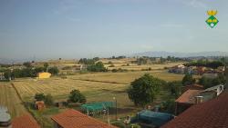 Webcams