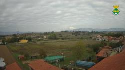 Webcams