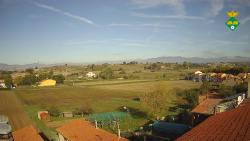 Webcams