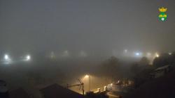 Webcams