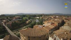 Webcams