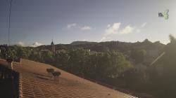 Webcams
