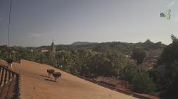 Webcams