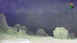 Webcams