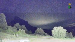 Webcams