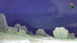 Webcams