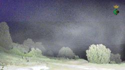 Webcams