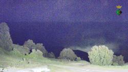 Webcams