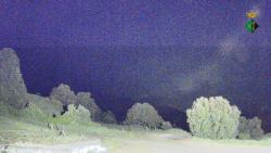Webcams