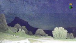 Webcams