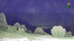 Webcams