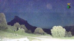 Webcams