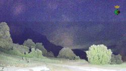 Webcams