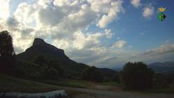Webcams