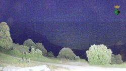 Webcams
