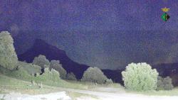Webcams