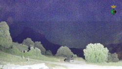 Webcams