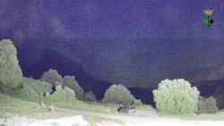 Webcams