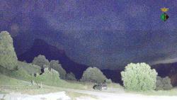 Webcams
