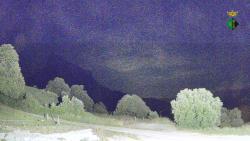 Webcams