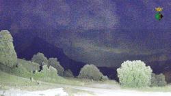 Webcams