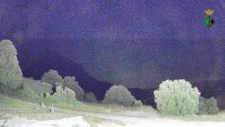 Webcams